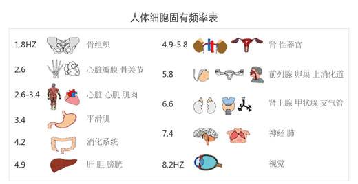 人體細胞固有頻率表
