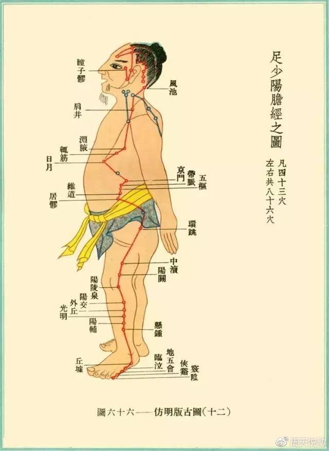 膀胱經